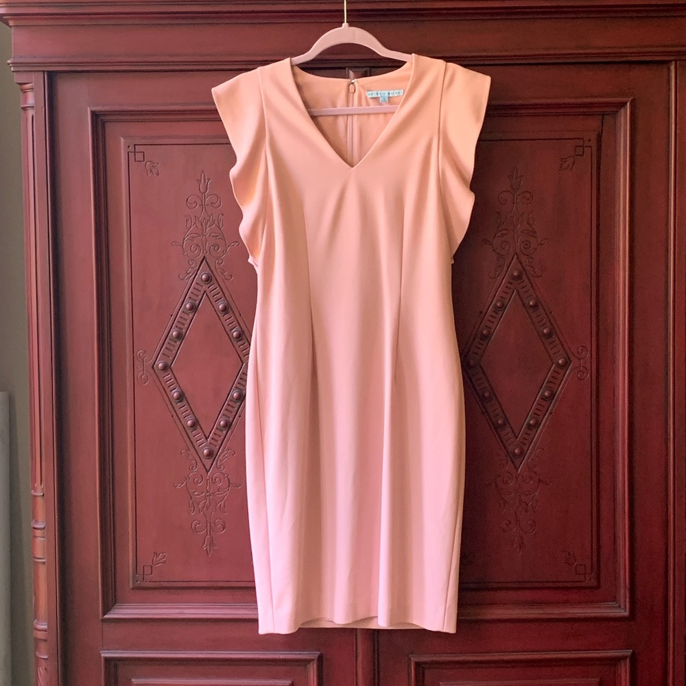 Antonio Melani- NWOT cocktail dress size 4!!!